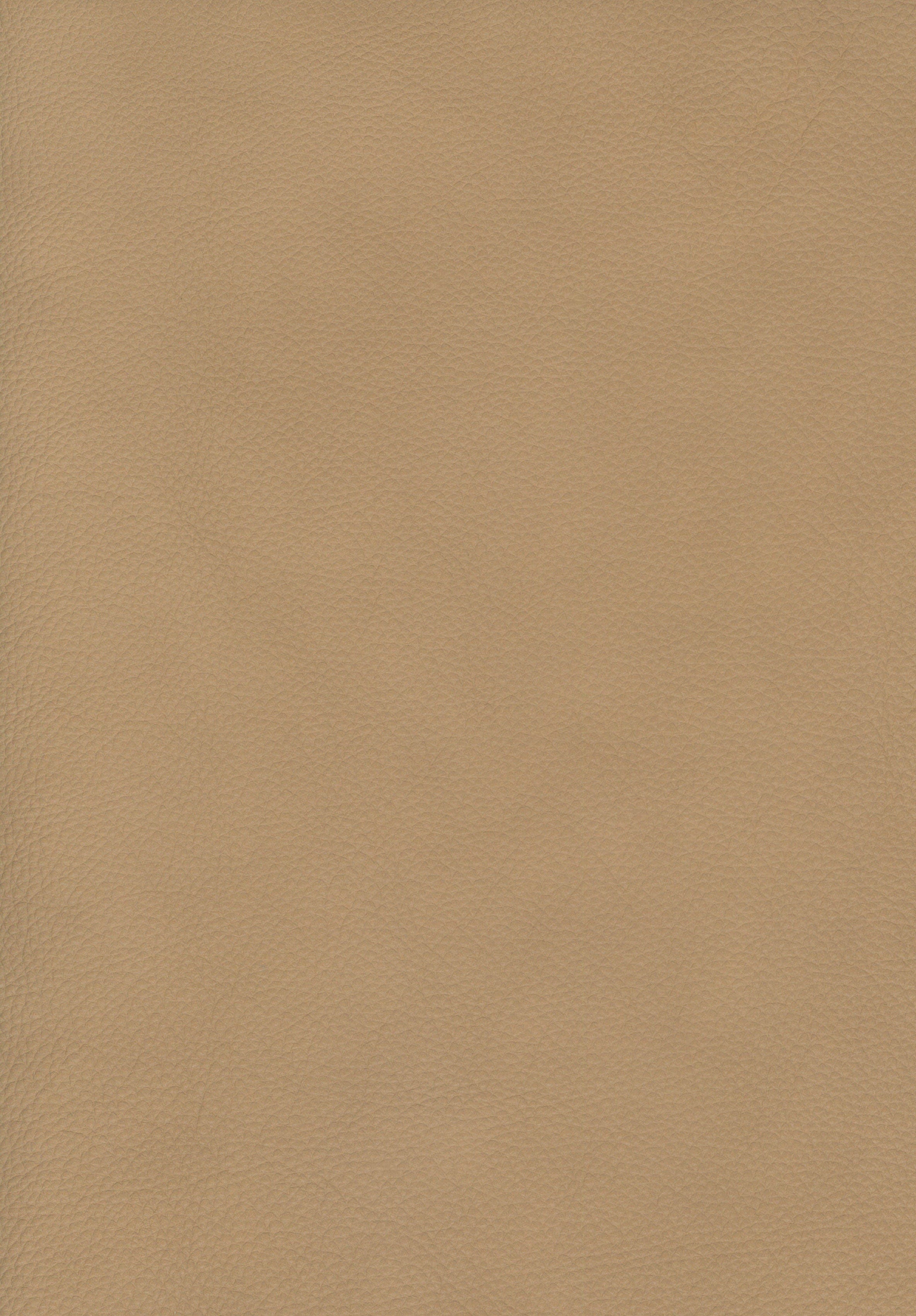 https://retailsystem.s3.amazonaws.com/25C64720D6E3/414435/098_Velaro_20_Beige.jpg