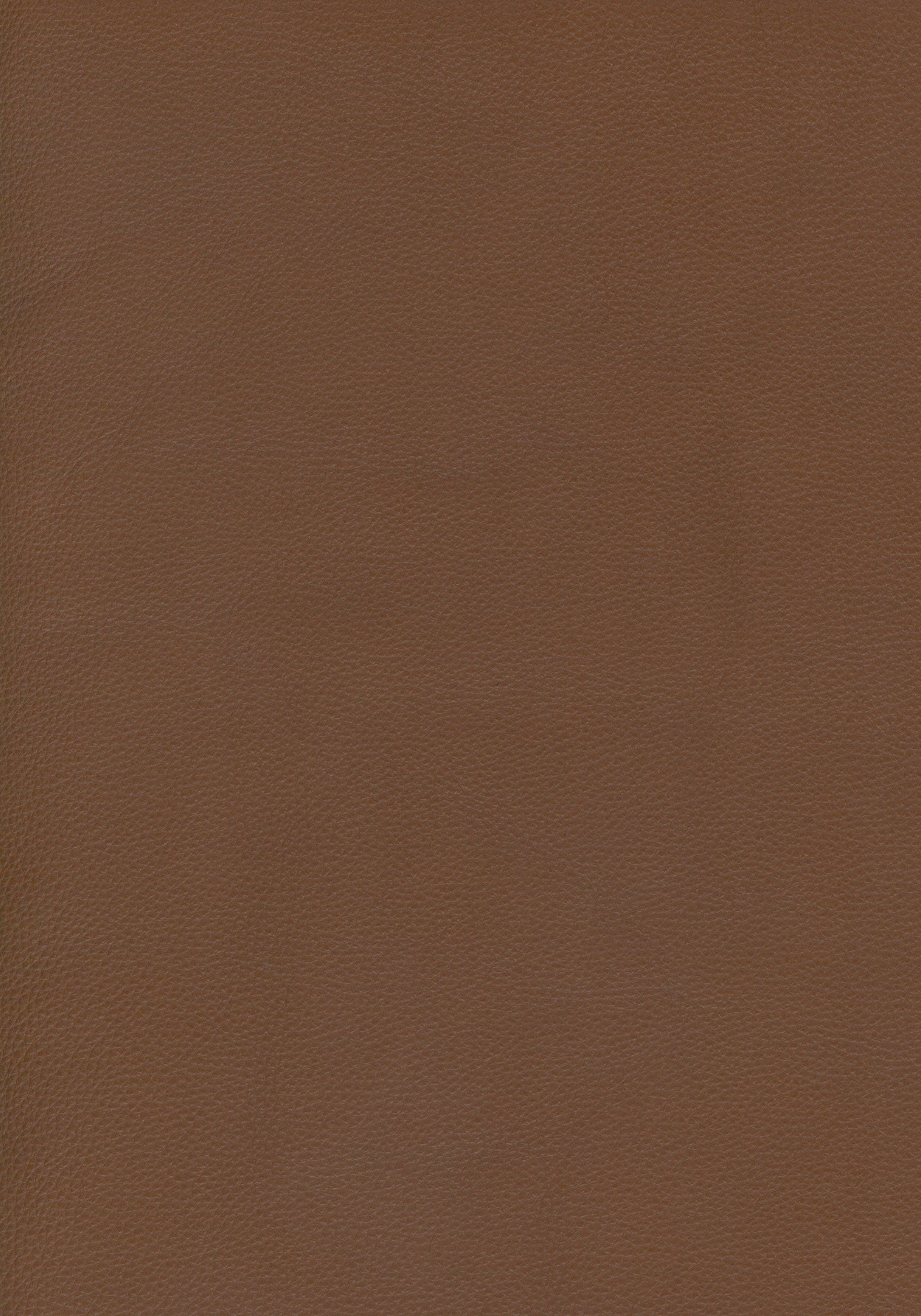 https://retailsystem.s3.amazonaws.com/25C64720D6E3/414441/098_Velaro_49_Dark%20Caramel.jpg