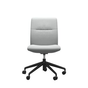 1858768 Large Low Back Dining Chair Without Arms - Home Office