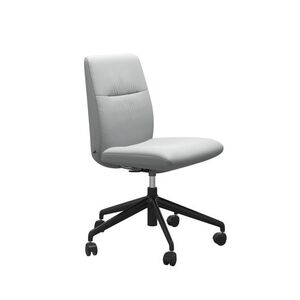 Large Low Back Dining Chair Without Arms - Home Office