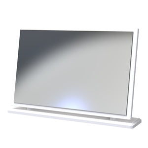Large Mirror