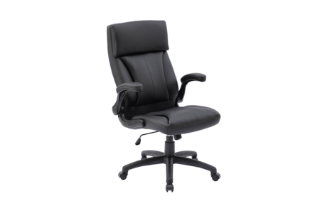 Hld-010-BK Executive Office Chair - Black