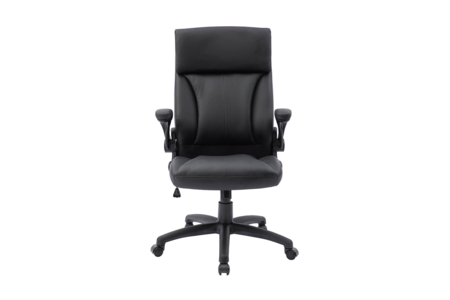 Executive Office Chair - Black