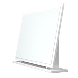 Large Mirror