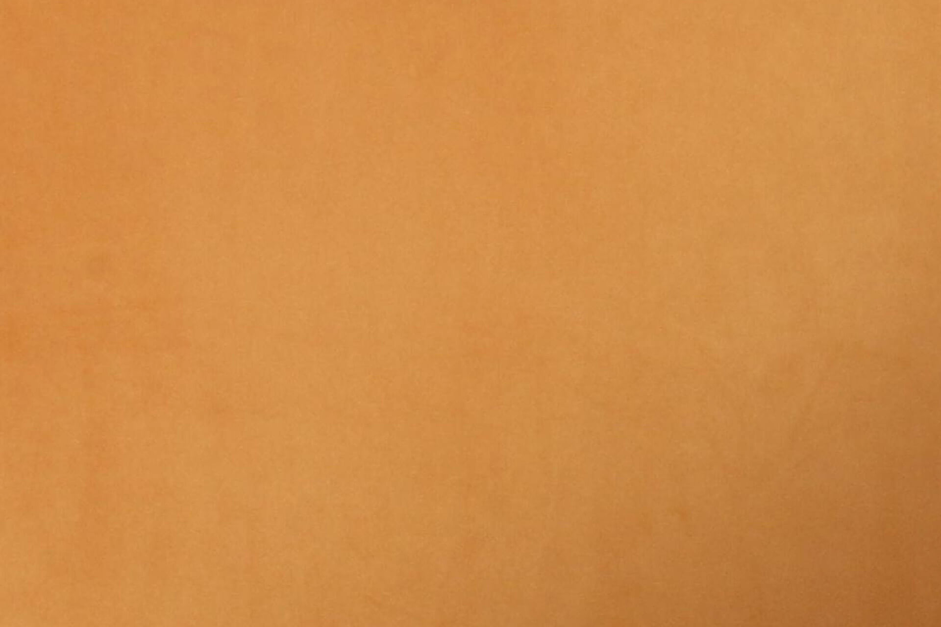 Lni-321-MS.png