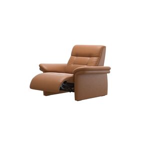 Power Recliner