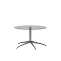 5295013 Large Star Table